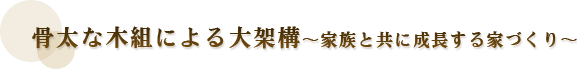 骨太な木組による大架構〜家族と共に成長する家づくり〜
